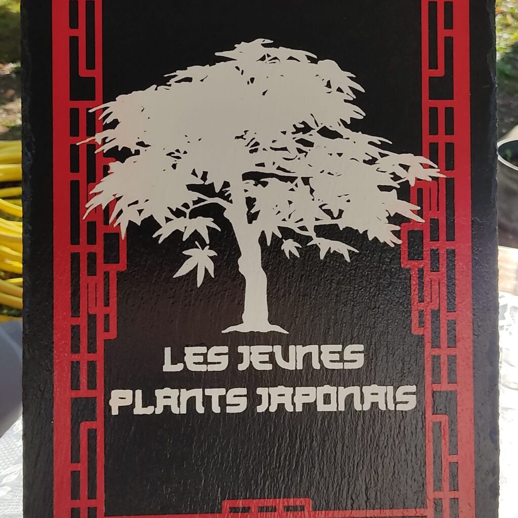 les jpj3